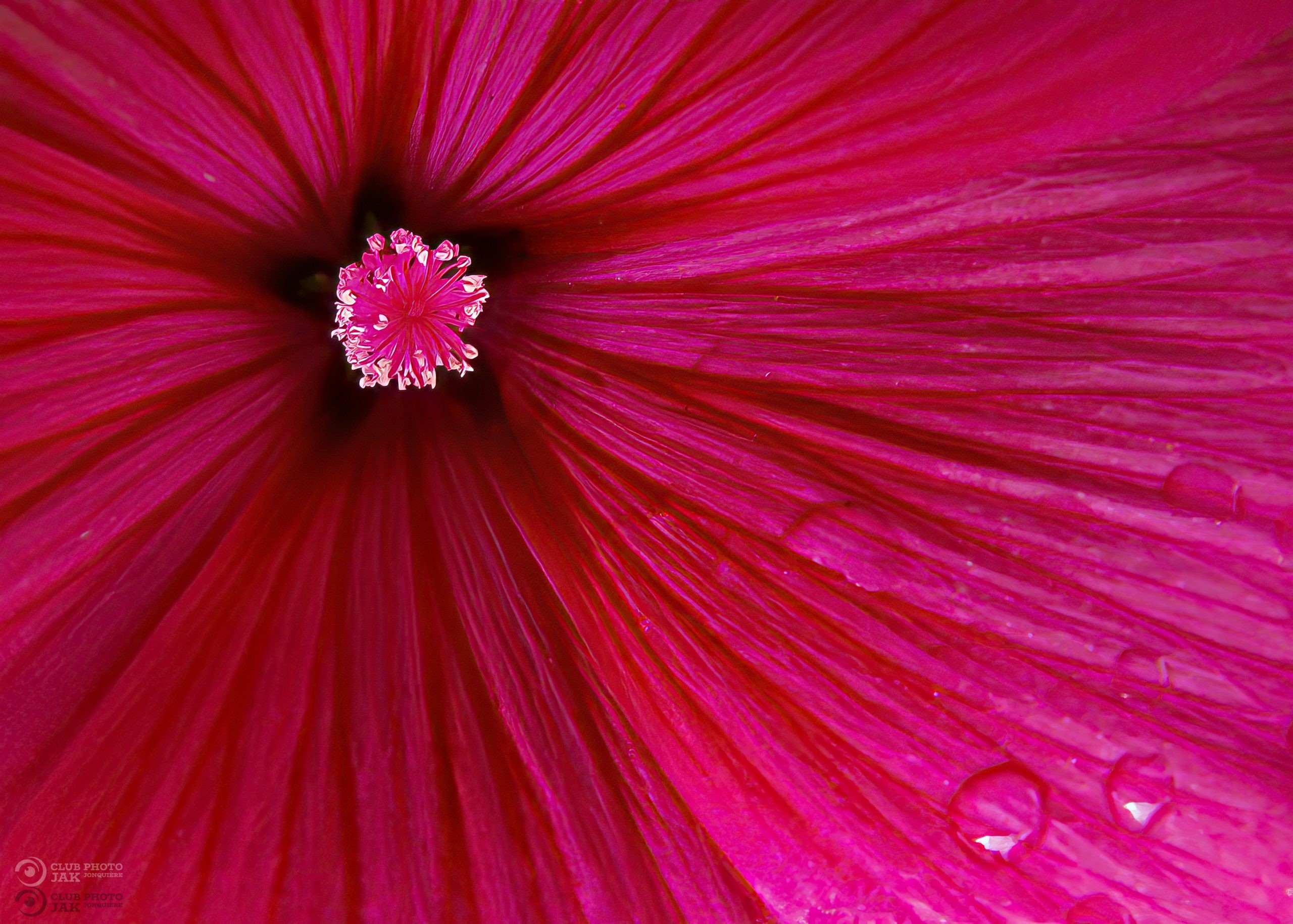 Image exposition