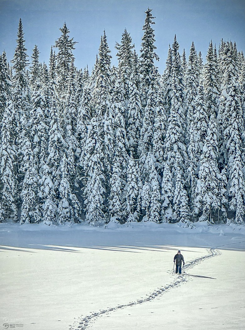 marcheur dans la forêt en hiver